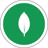 MongoDB Certification