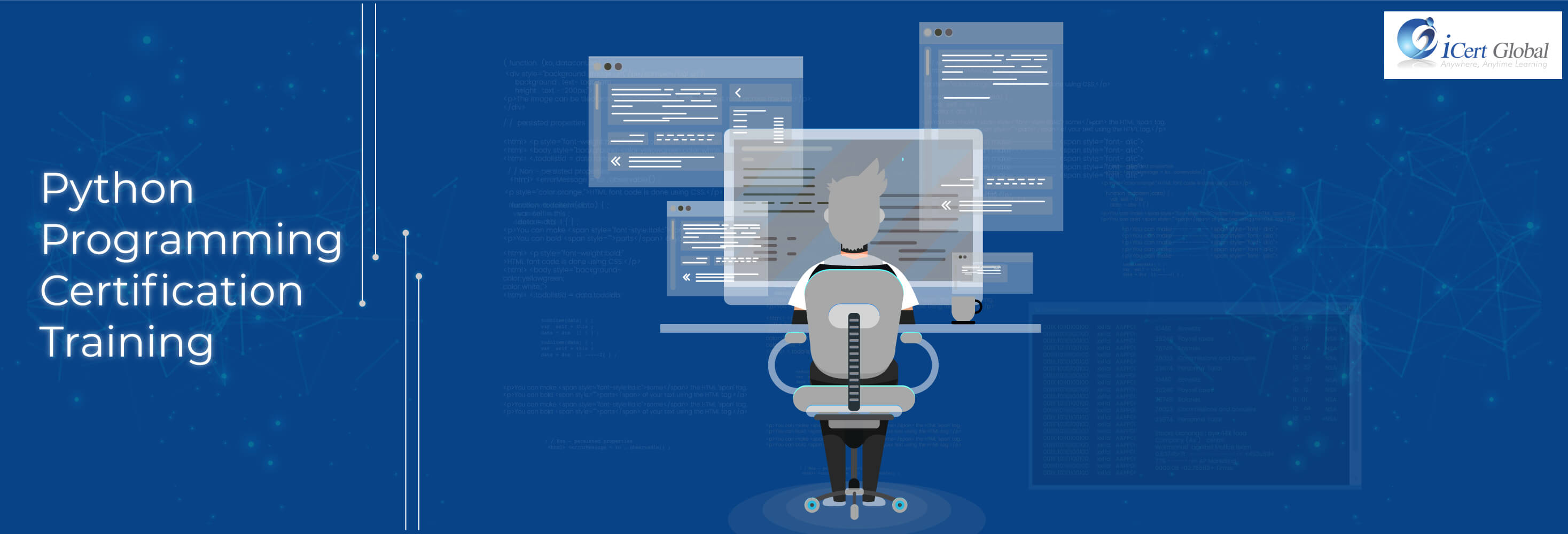 Python programming certification training