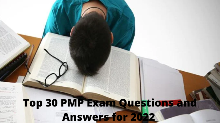 PMI-RMP Originale Fragen
