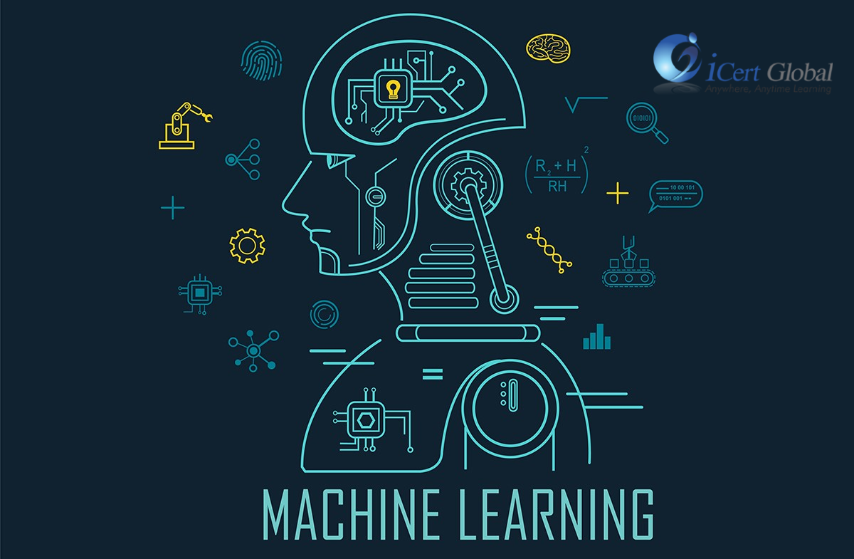 Top 10 Essential Machine Learning Algorithms You Should Know