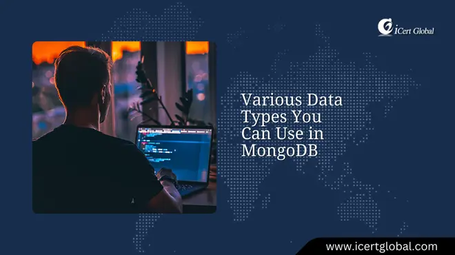 Various Data Types You Can Use in MongoDB