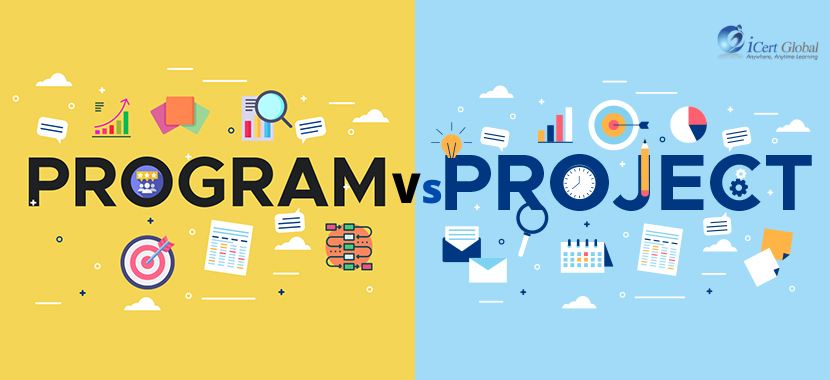 Difference between Projects and Programs