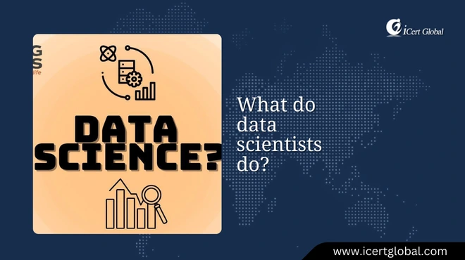 what do data scientists do