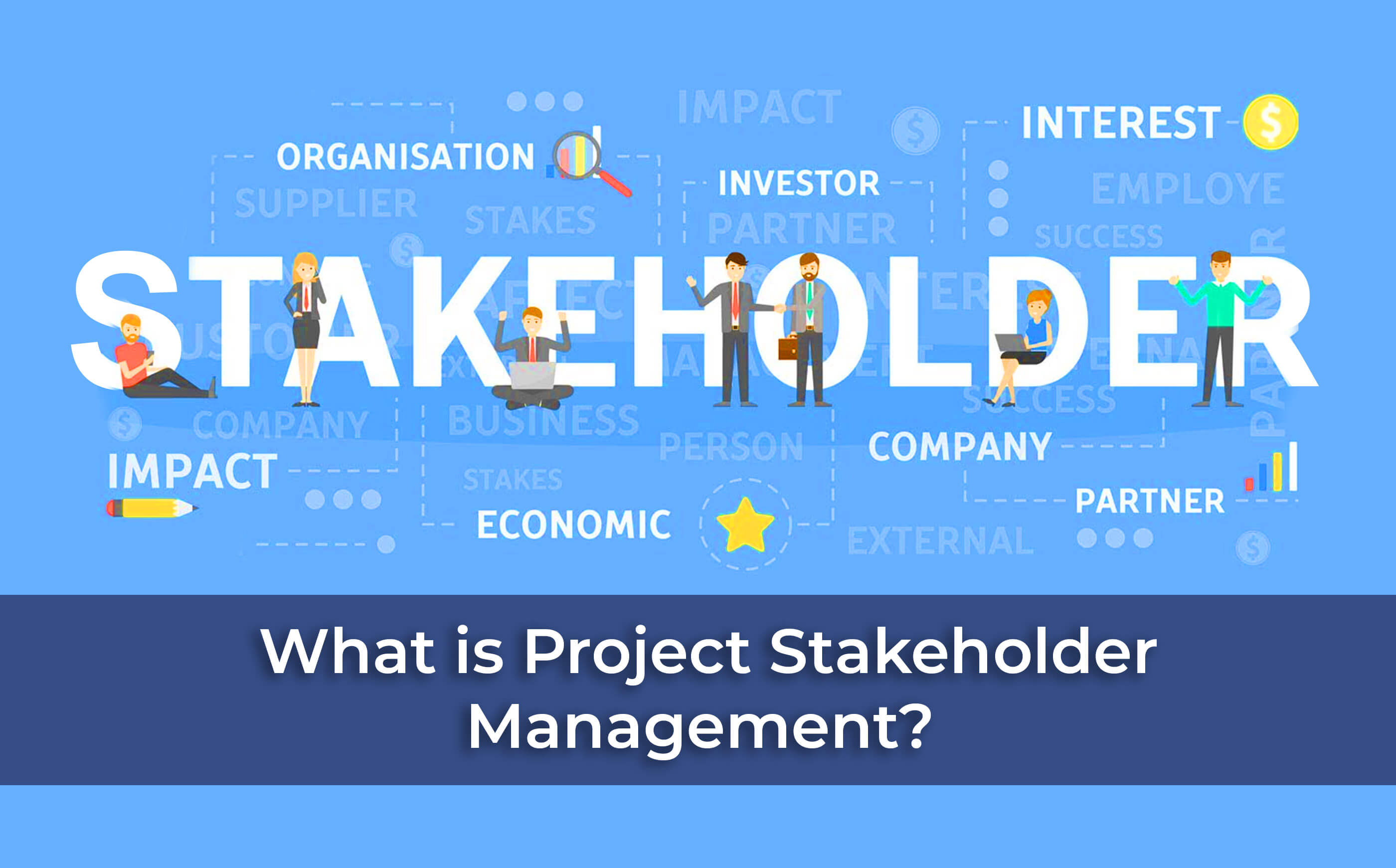 project stakeholder management thesis