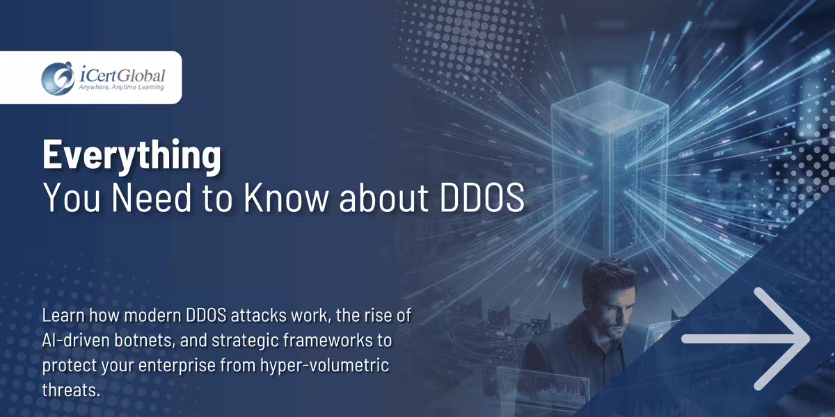 Everything You Need to Know about DDOS