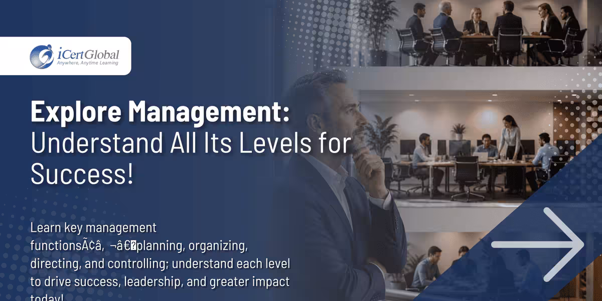 Explore Management: Understand All Its Levels for Success!