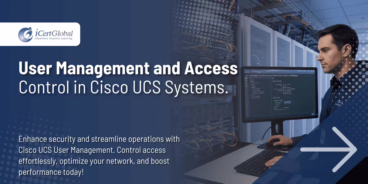 User Management and Access Control in Cisco UCS Systems.